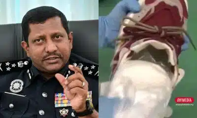ohmedia rakyat malaysia dadah jepun